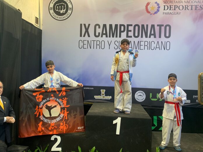 taekwondo