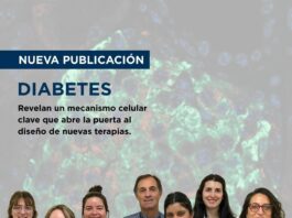 Nueva publicación sobre Diabetes