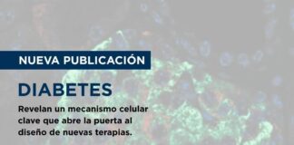 Nueva publicación sobre Diabetes