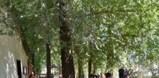 Somos Red organiza una nueva edición de su Feria Itinerante en Astolfi