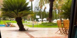 Sheraton Pilar lanza el Menú Campeones para vivir el Mundial con el mejor sabor