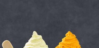 Munchi’s lanza dos sabores inéditos para este invierno: Mandarina y Mousse de Palta