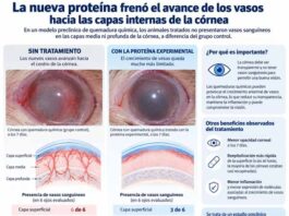 Nuevo hallazgo de la ciencia argentina con protagonismo pilarense