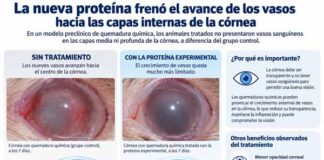 Nuevo hallazgo de la ciencia argentina con protagonismo pilarense